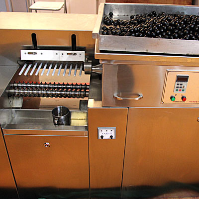 L'équipement pour la production de bouillettes, appâts pour la pêche, appâts pour la machine, faisant bouillettes www.Minipress.ru