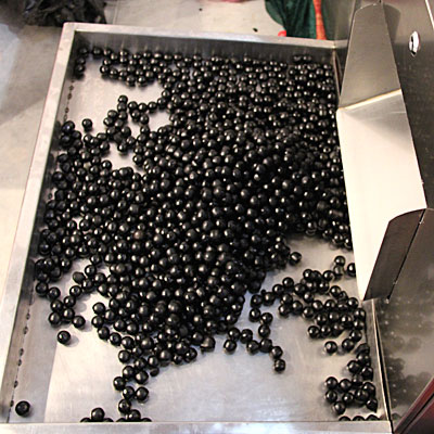 Anlagen zur Herstellung von Boilies, Köder zum Angeln, Köder für die Maschine, so dass Boilies www.Minipress.ru