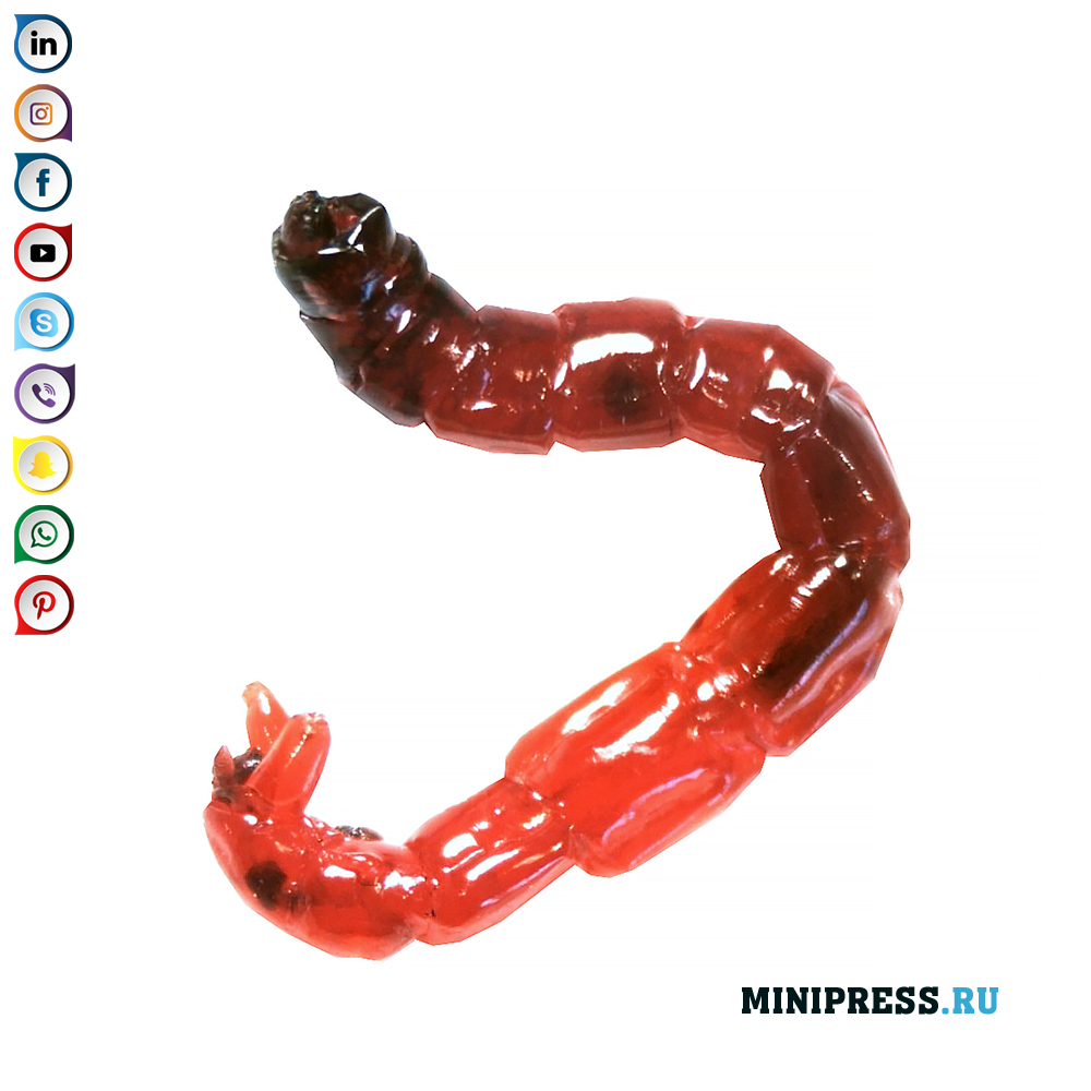 Kagamitan para sa pagpuno at packaging ng mga bloodworm sa mga paltos